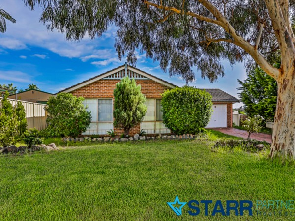 18 Harwood Place, St Helens Park - Thumbnail 4