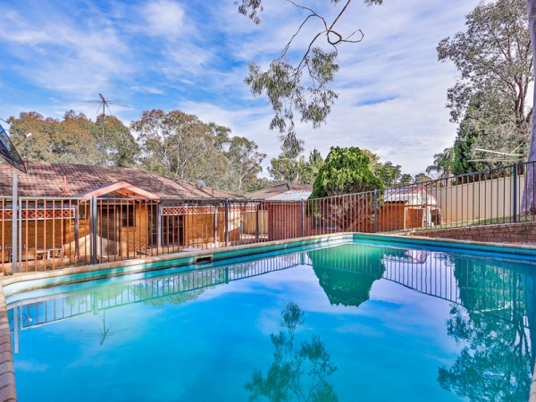 3 Topaz Place, Eagle Vale - Thumbnail 4