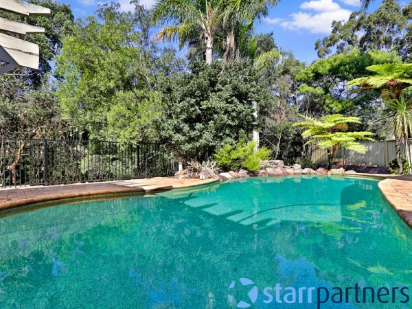 37 Canberra Cres, Campbelltown - Thumbnail 7