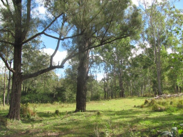 Property in Berajondo - Sold