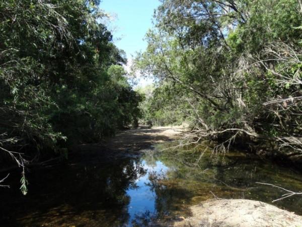 Property in Rosedale - Sold