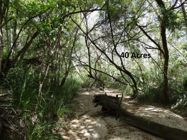 Property in Rosedale - Sold for $79,000