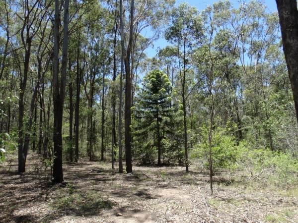 Property in Baffle Creek - Sold for $190,000