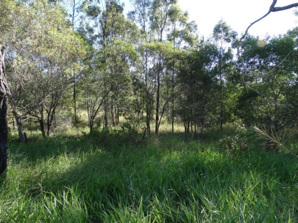 Property in Rosedale - Sold