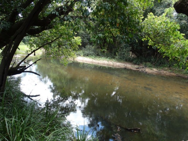 Property in Berajondo - Sold for $175,000