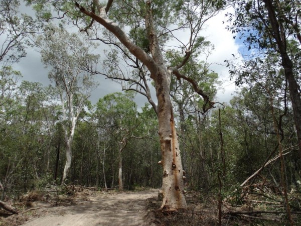 Property in Mount Maria - Sold for $120,000