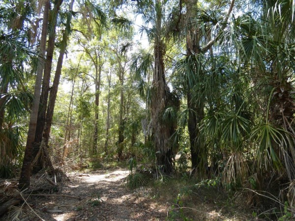 Property in Mount Maria - Sold for $115,000