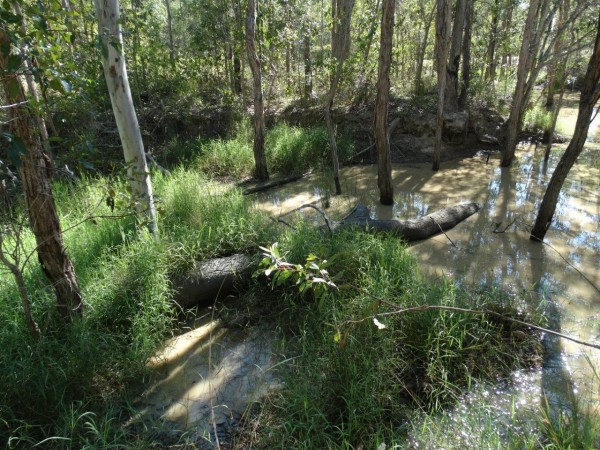 Property in Euleilah - Sold for $88,000