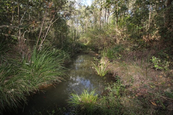 Property in Mount Maria - Sold for $350,000