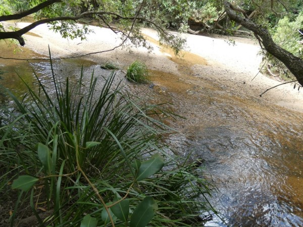 Property in Rosedale - $380,000