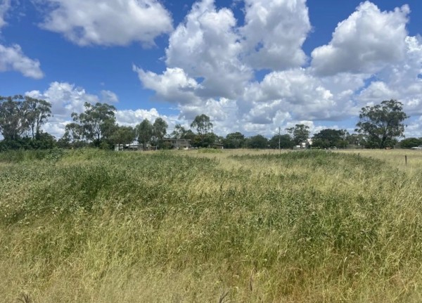 Property in Mingela - O/A $99,000
