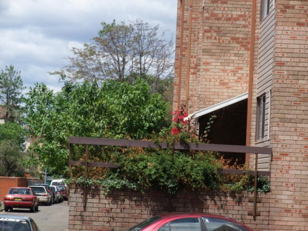19/26 Rememberance Drive Warwick Farm, Warwick Farm Sold Property,  - Thumbnail 4