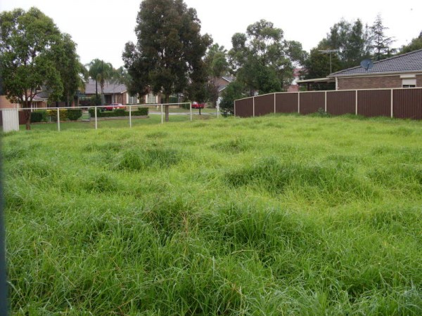 3.21/29-31 Lexington Drive, SYDNEY, NSW, 2153,  - Thumbnail 2