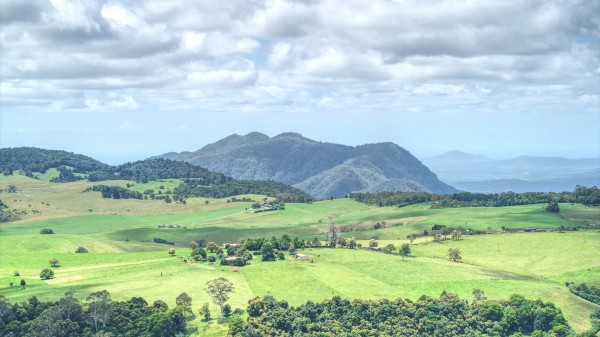 Dorrigo