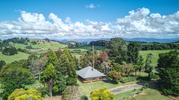 Dorrigo