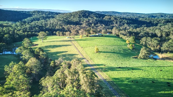 Dorrigo