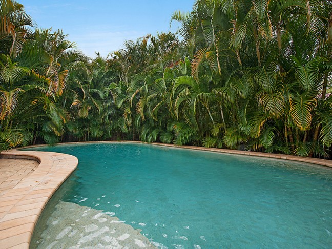 Pool and Privacy in Palmwoods