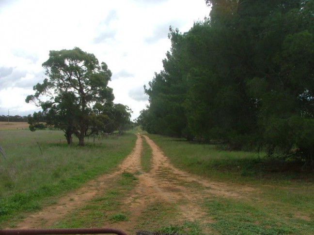 Fair Dinkum Country Living
