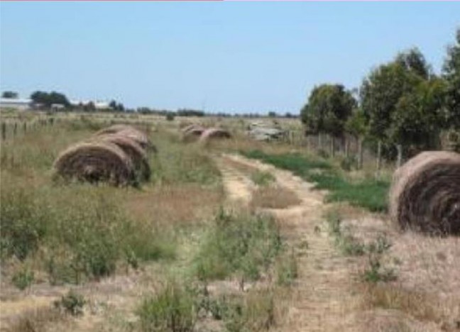 43 ACRES - LAKE VIEWS - CROPPING/GRAZING - SHED