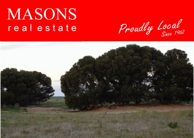 COOKE PLAINS (via Tailem Bend) - 170 Acres - 3 Titles