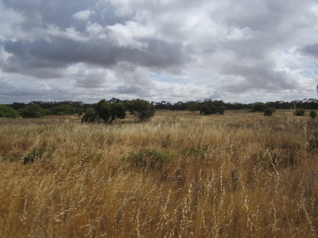 78 Acres - Weekend/Hobby Block