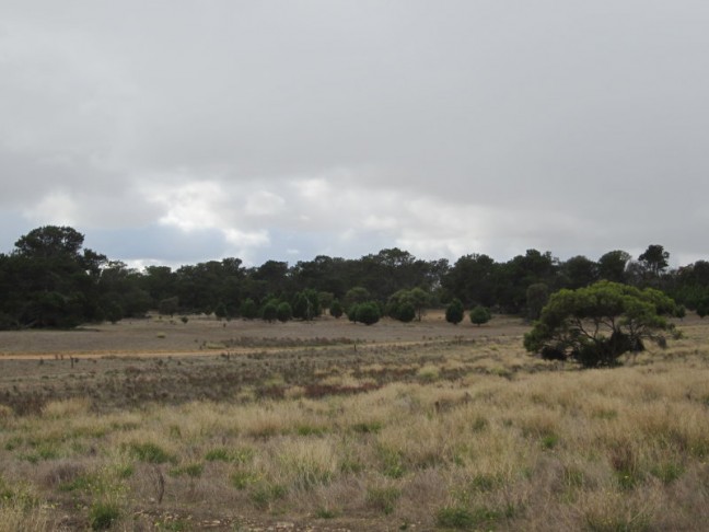 Pristine Remote Bushland