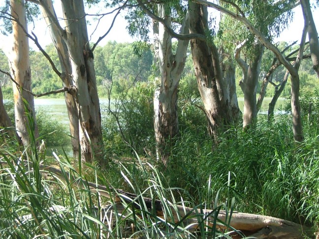 River Weekend Getaway