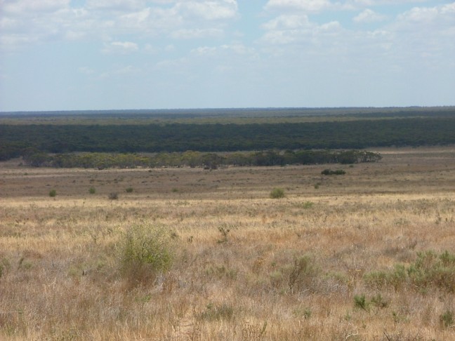 Peace & Quiet Lifestyle