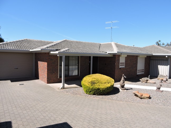 Value Buting - An Absolute Bargain