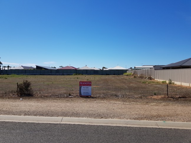 Looking for Good Dirt !