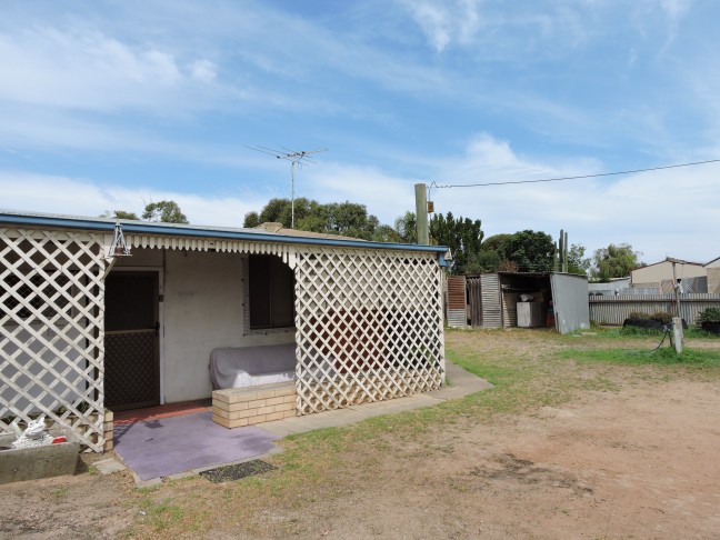 Listen to the birds-Cheap, Cheap, Cheap