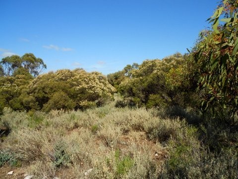 Lovely little Weekender