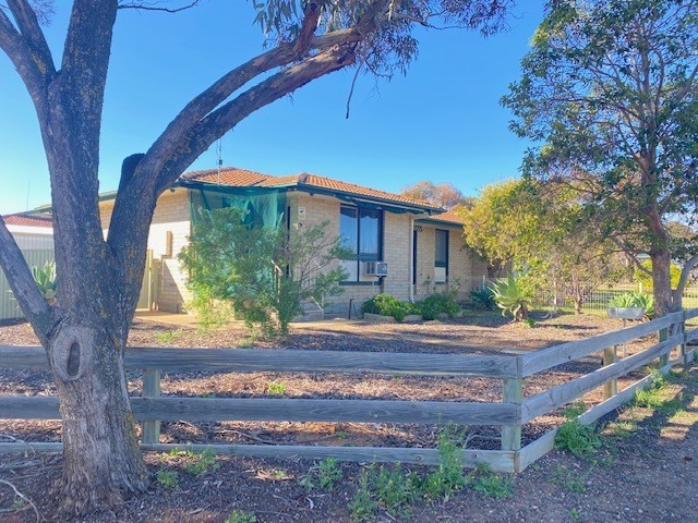 Plenty of Bang, Not much Bucks