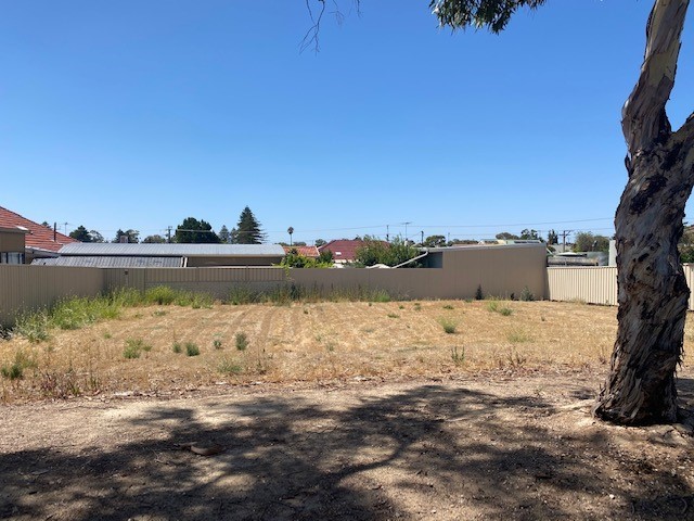 Centrally Located Land