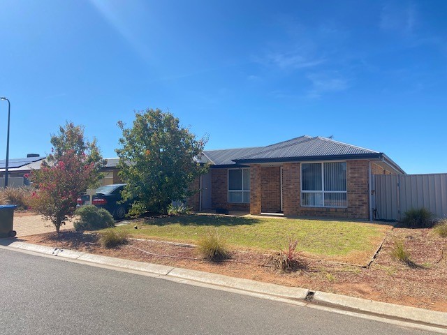 Classic No Brainer-Easy to Care, Nothing to Do