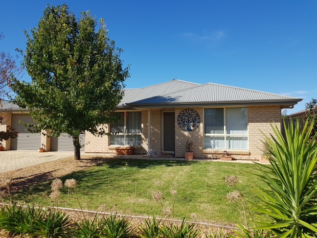 Investor Ready or Family Living