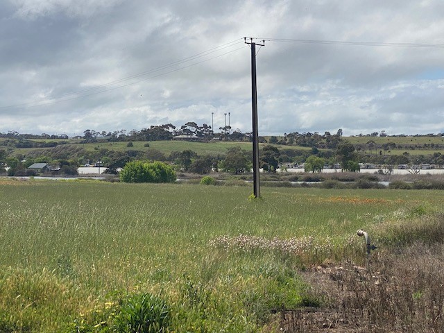 Presidential Piece of Dirt