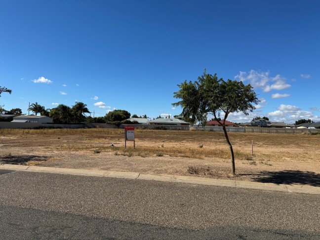 Last of the Mohicans