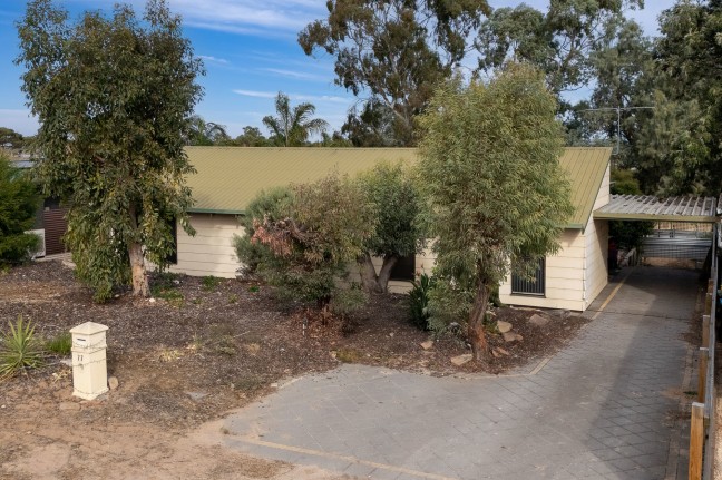 Surprise Packet on Popular Eastside