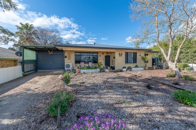 Quiet Corner Allotment