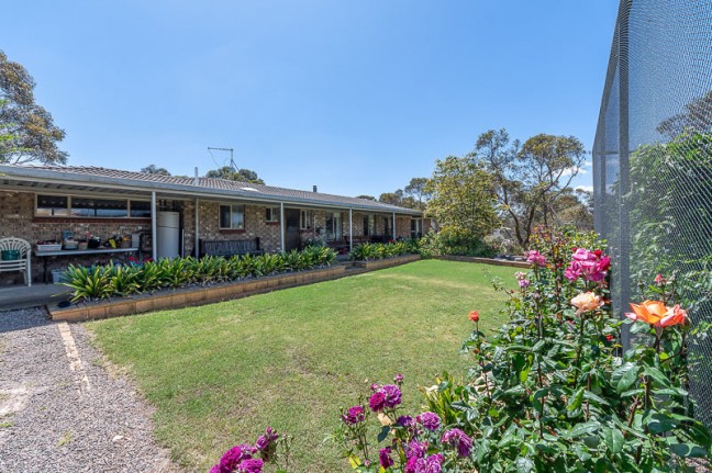 Sustainability & Nature