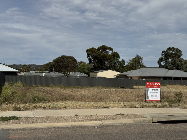 Rare Gem of an Allotment