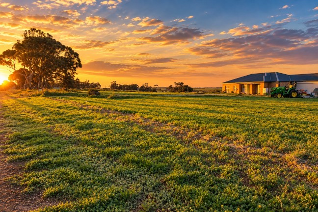 Living in the Country! Lovely!