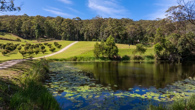 Rare Coastal Oasis with Unlimited Income Potential!