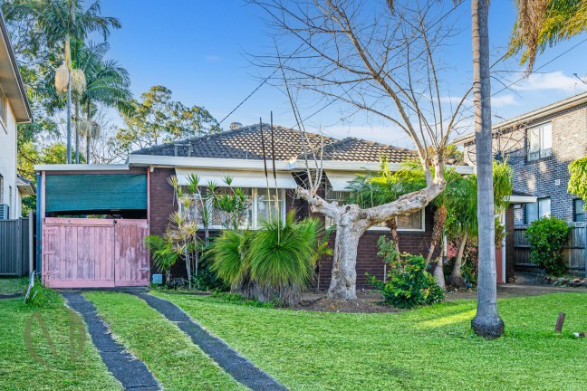 Large Land, Big Potential – Telopea Gem on 664sqm