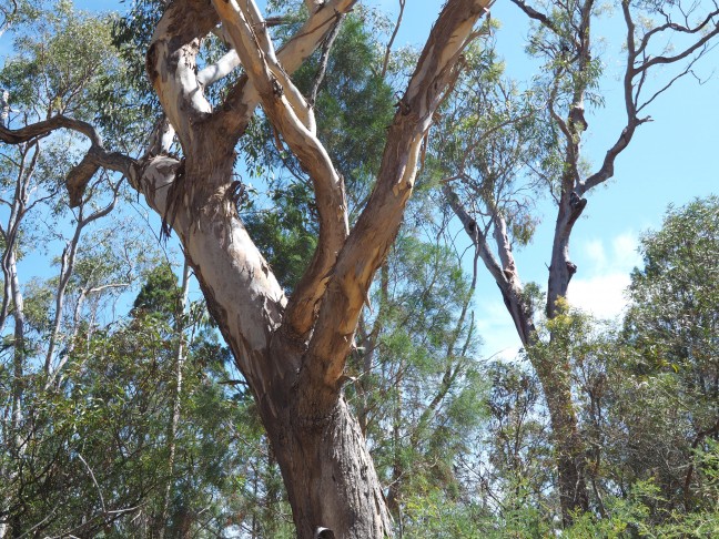 Escape The Rat Race and Immerse Yourself In Nature