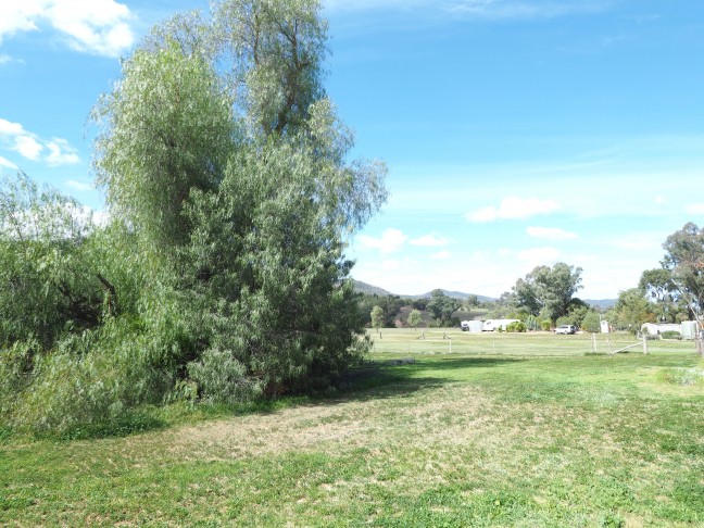 Acreage Within the Town Boundary