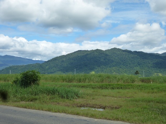 CANE FARM - 29.97 hectares