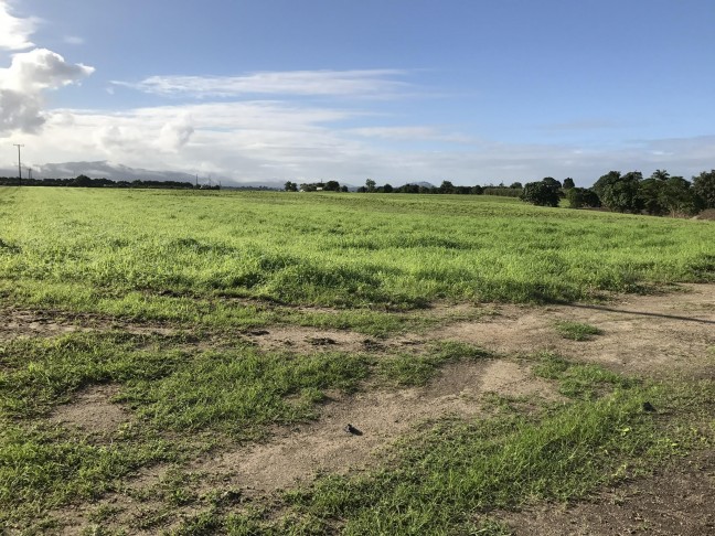 10 ACRES OF FLAT LAND