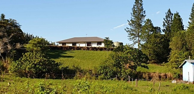 FAMILY HOME - 4 BEDROOMS ON 24.88 ACRES